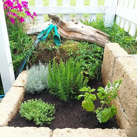 Σπίτι διακοπών Casetta Vista Mare Con Piscina *