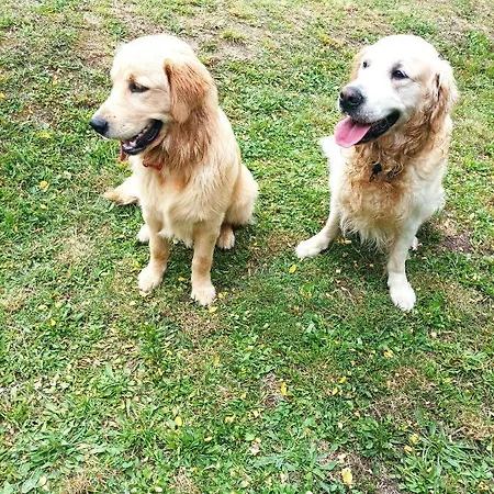 Σπίτι διακοπών Casetta Vista Mare Con Piscina *